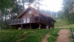 Lauko terasa